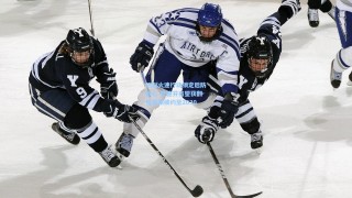 热刺火速行动锁定后防核心 范德芬有望获翻倍周薪续约至2030