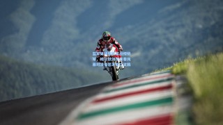 蓝军锋线新阵客战樱桃军，帕尔默领衔青春风暴对决伯恩茅斯三叉戟