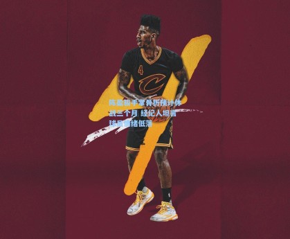 陈盈骏手掌骨折预计休战三个月 经纪人坦言球员情绪低落